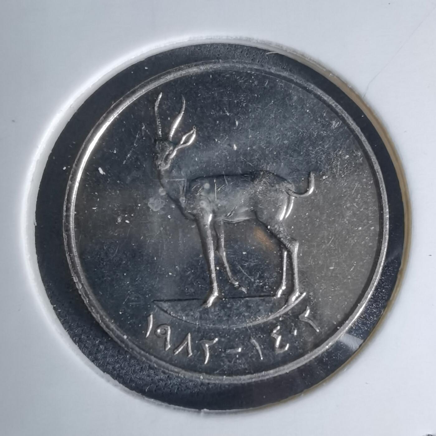 沼泽如烟--第941场 阿联酋