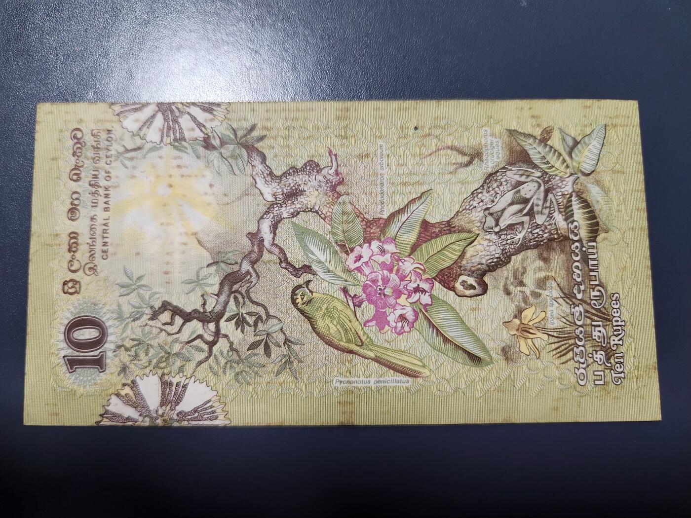 12月20号晚上8点 外国纸币自动截拍第74场 斯里兰卡1979年10卢比（动物版）锡兰银行发行 美品
