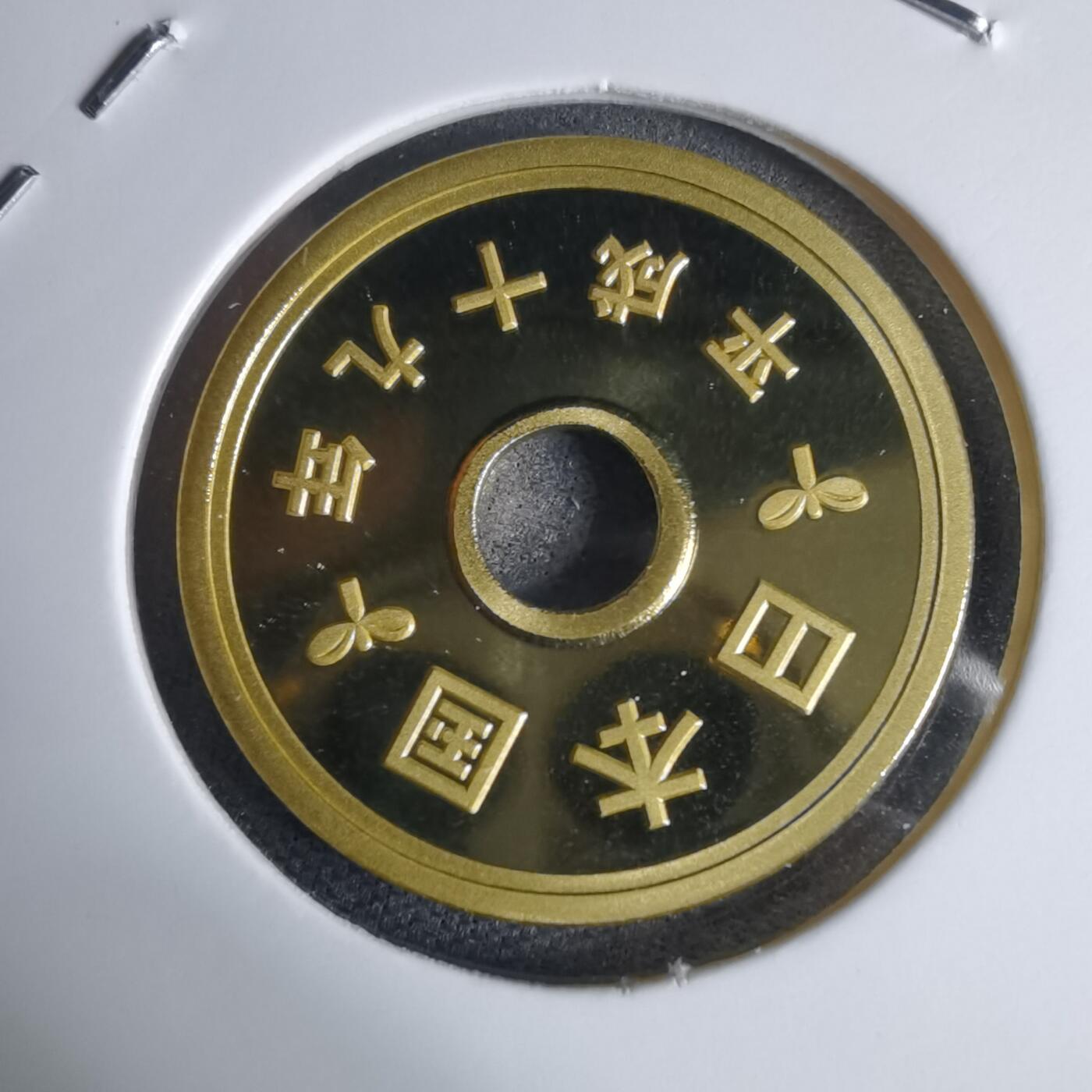 沼泽如烟--第941场