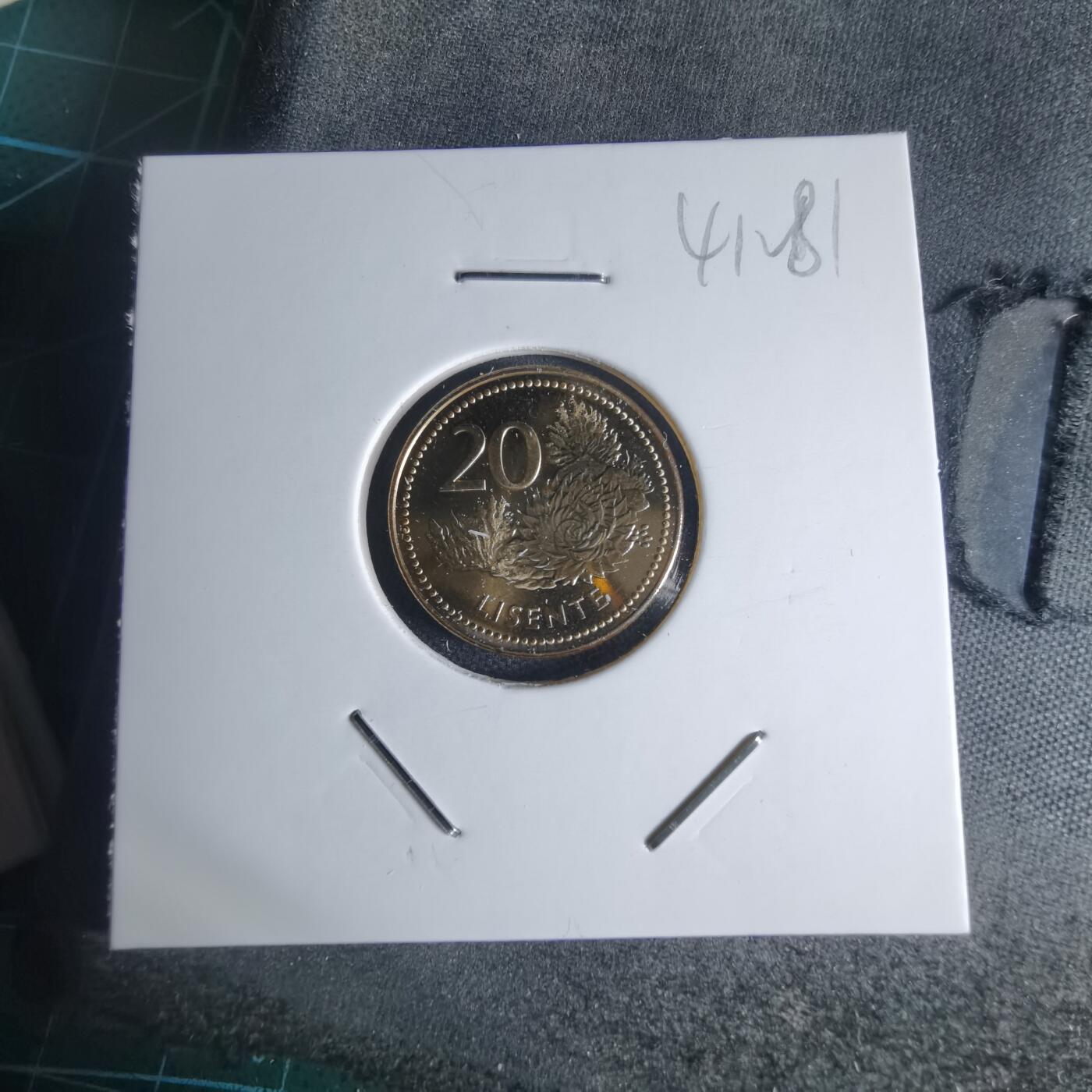 沼泽如烟--第941场