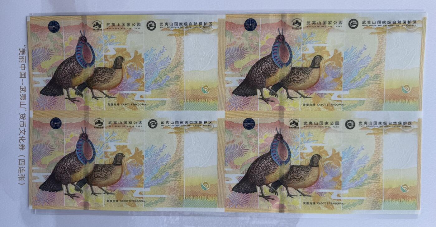 2025第27场（总第227期）：精品连体纪念券专场 四连体/尾号256 南钞/世界双遗产“武夷山”纪念券册装UNC（发行价888元）