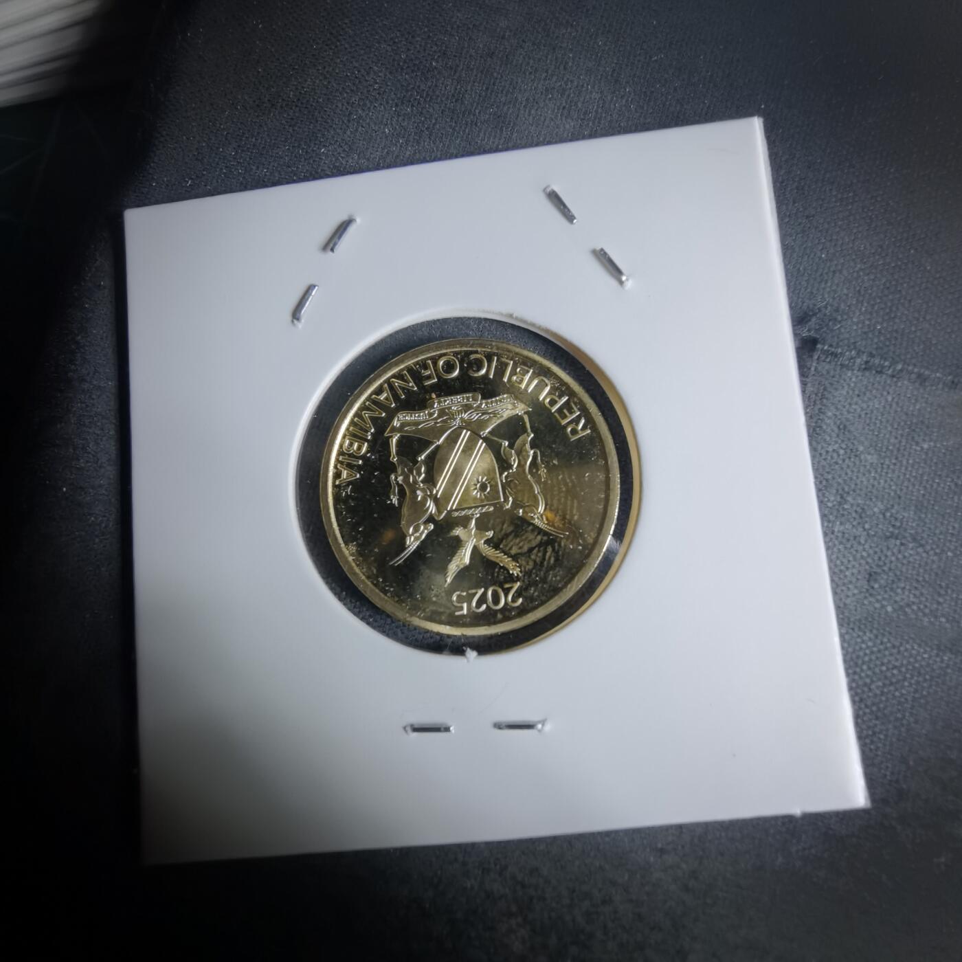 沼泽如烟--第941场