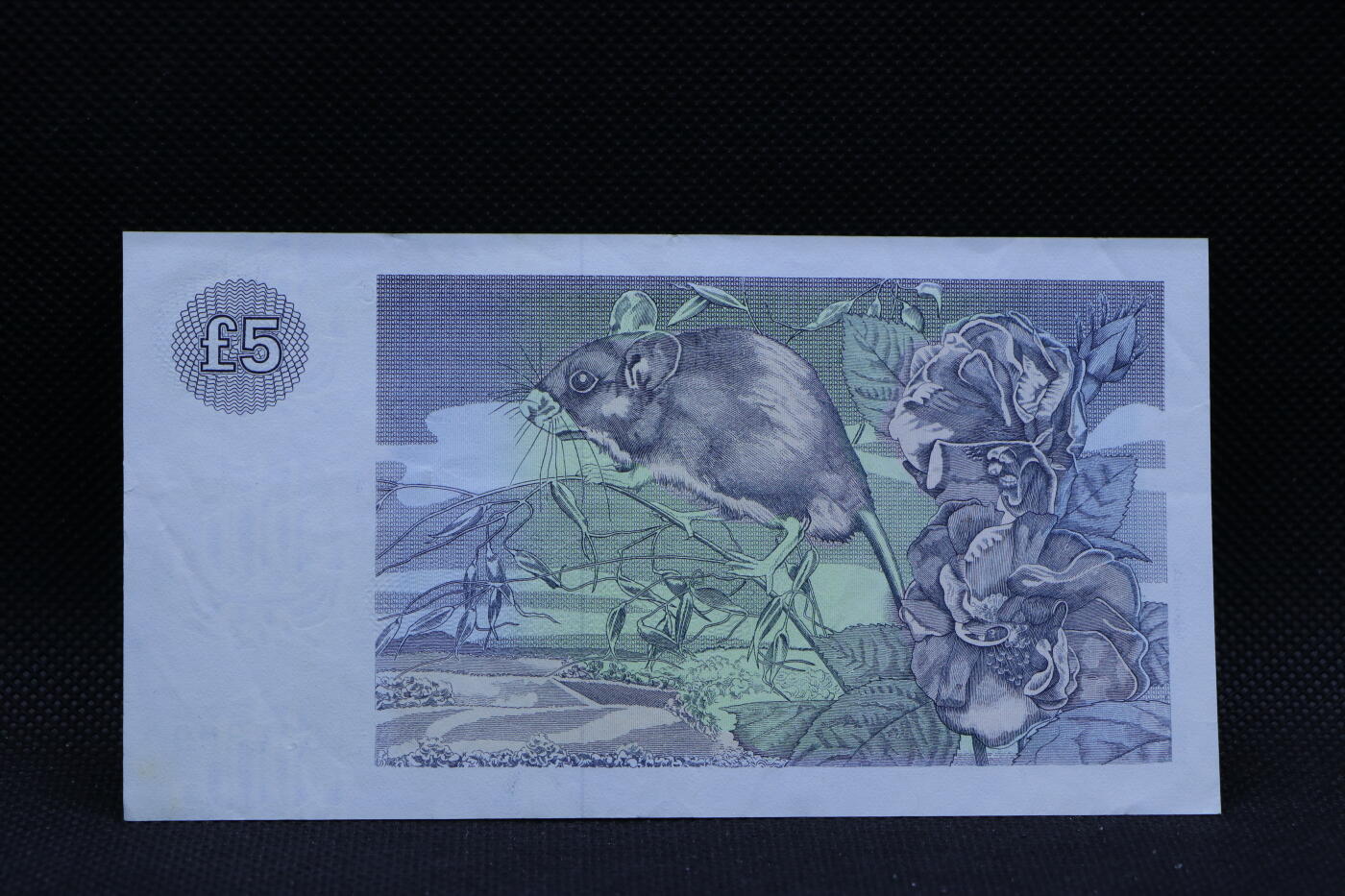 【淘币小摊】限时拍第八百三十四拍  纸币场  满百包邮可预留两周  周一统一发货    英国苏格兰克莱代尔银行1988面5镑纸币【有折】