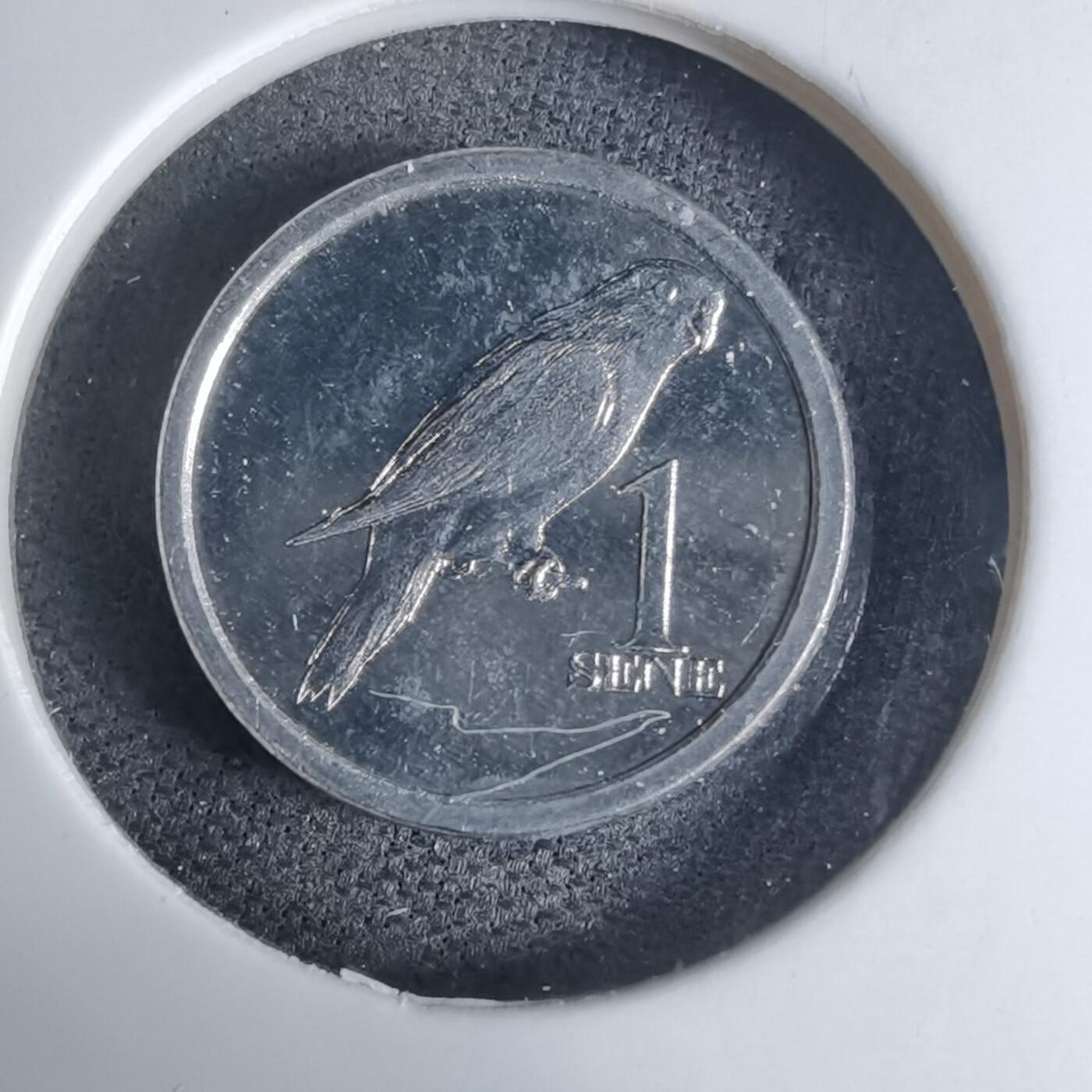 沼泽如烟--第941场