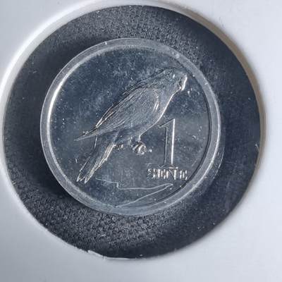 沼泽如烟--第941场 - 萨摩亚2020年一分小鸟