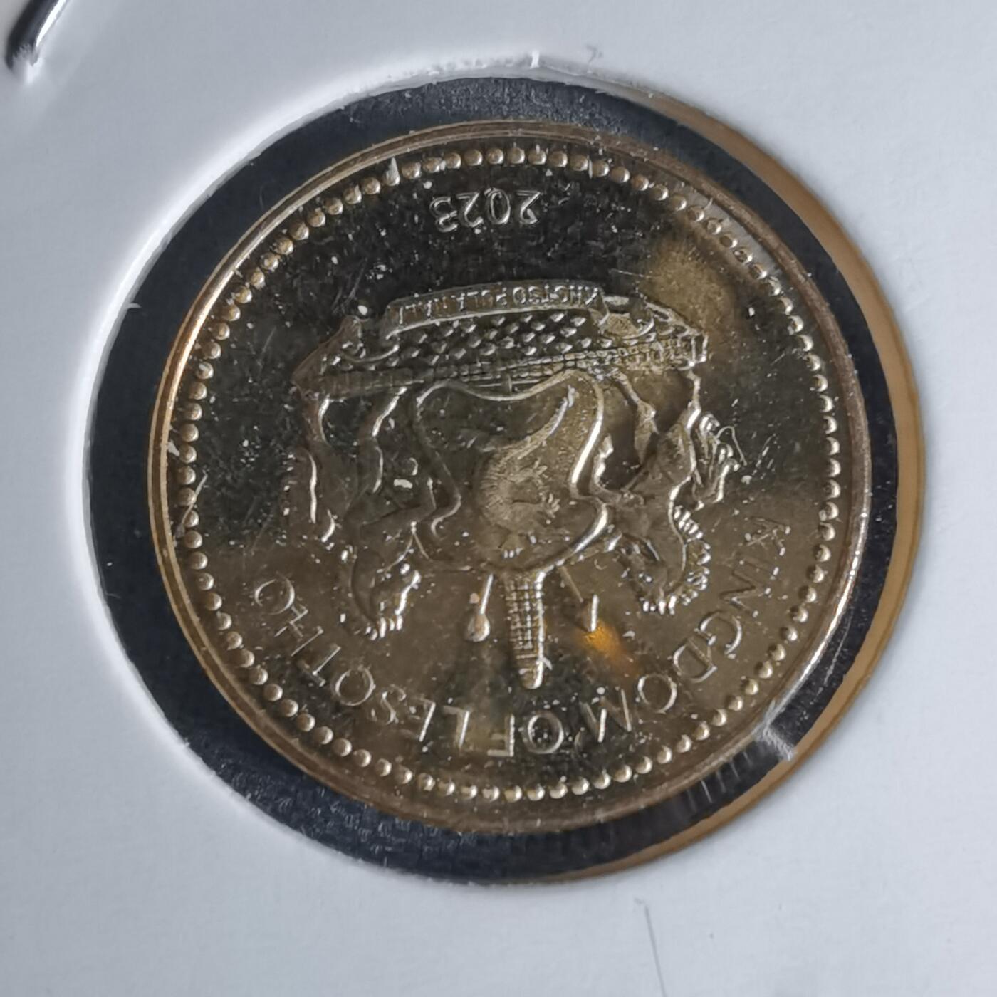 沼泽如烟--第941场