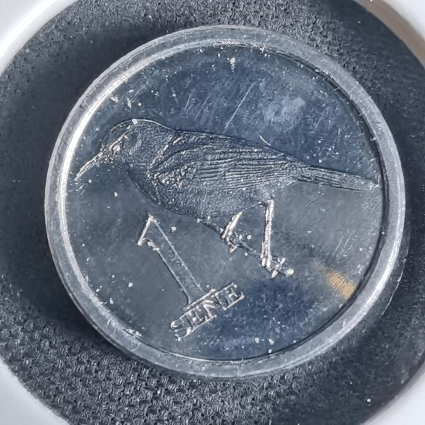 沼泽如烟--第941场 萨摩亚2020年一分小鸟