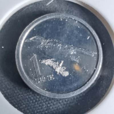 沼泽如烟--第941场 - 萨摩亚2020年一分小鸟