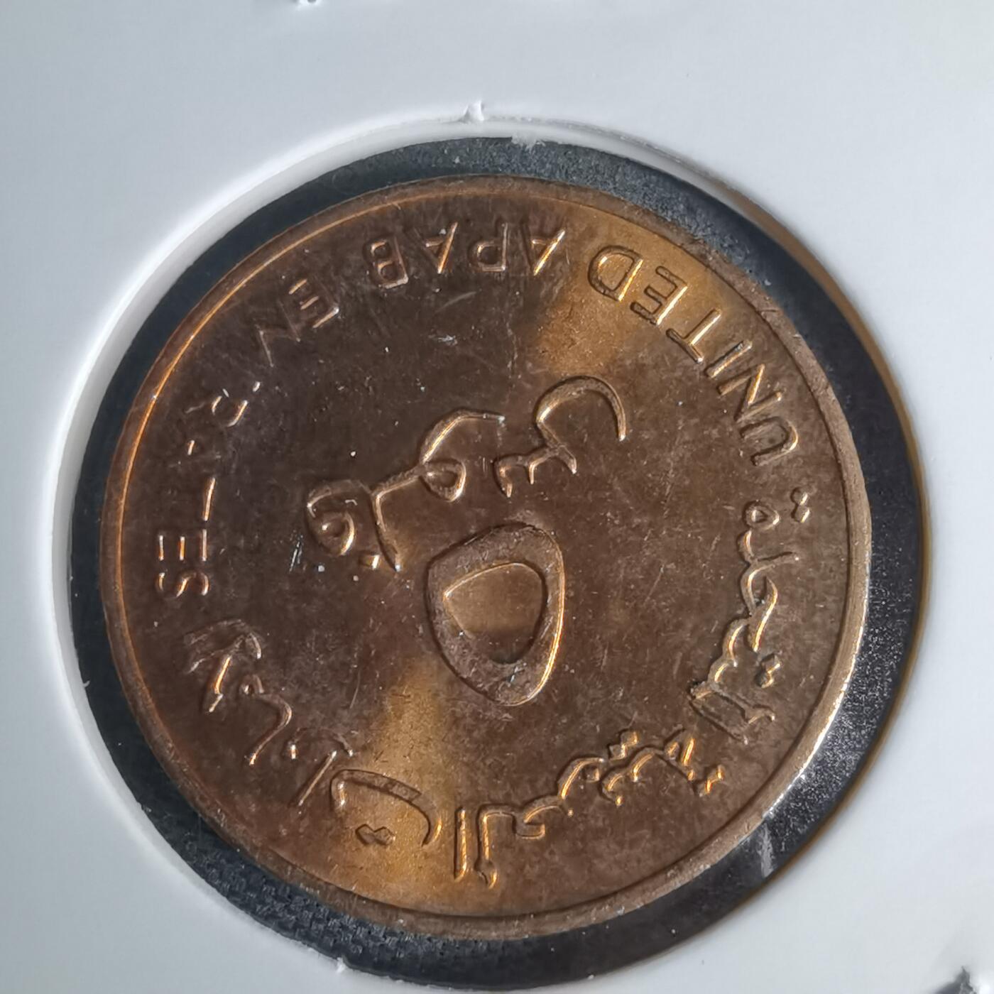 沼泽如烟--第941场 阿联酋