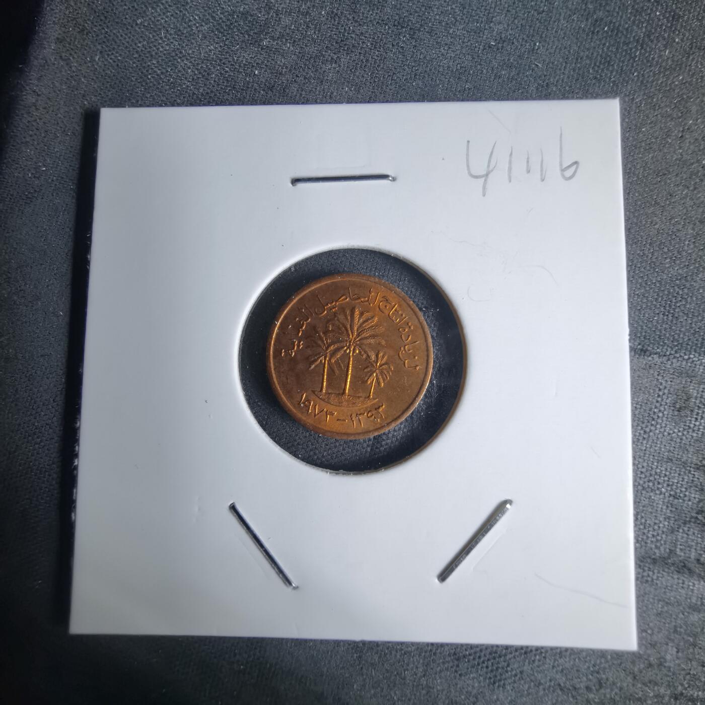 沼泽如烟--第941场 阿联酋