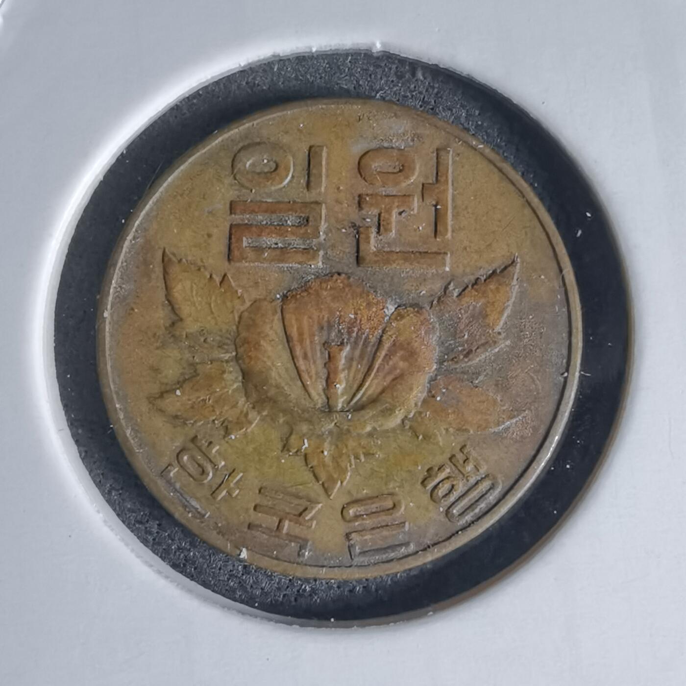 沼泽如烟--第941场 韩国1966年一元特年