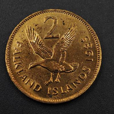 【淘币小摊】实时拍第八百三十三拍   散币场   满百包邮可预留二周 每周一统一发货   - 福克兰群岛1985年天鹅2便士铜币