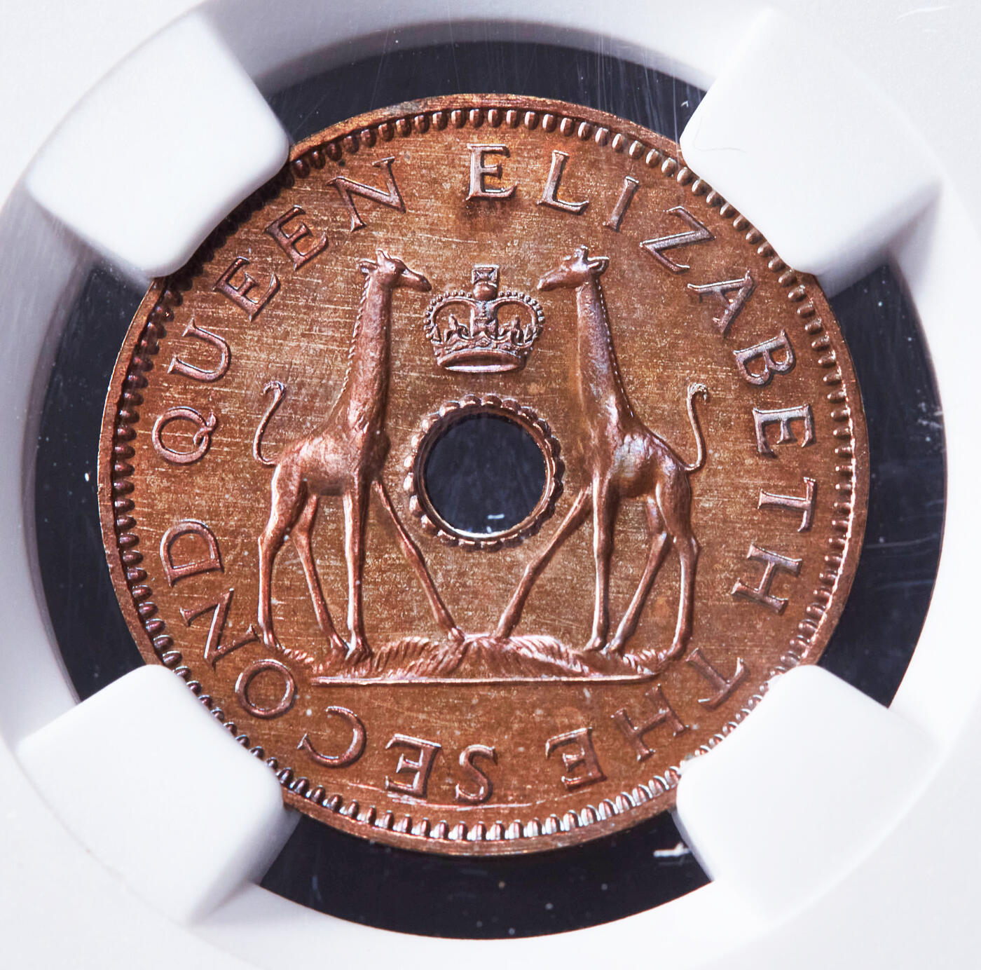 【俄甄集藏】2026年(046)01-07 星期三 晚 19:30 全场包邮 英属罗德西亚-尼亚萨兰1955年1/2便士-半克朗精制铜币、银币7枚大全套，NGC PF63-65，稀有品种，发行量只有2000套