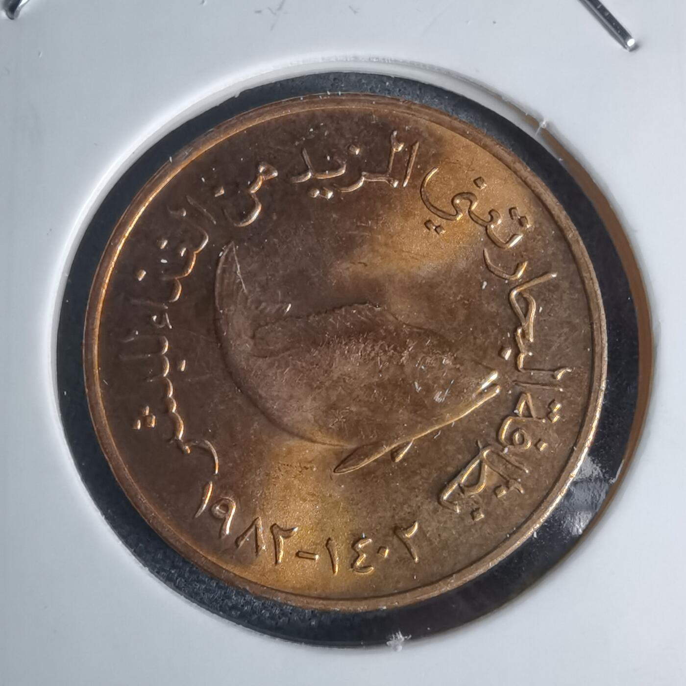 沼泽如烟--第941场 阿联酋