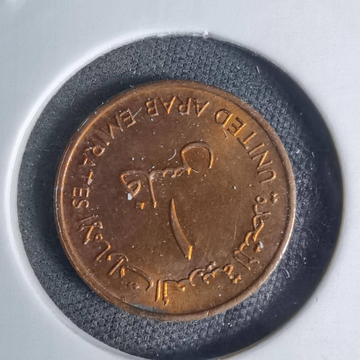 沼泽如烟--第941场 阿联酋