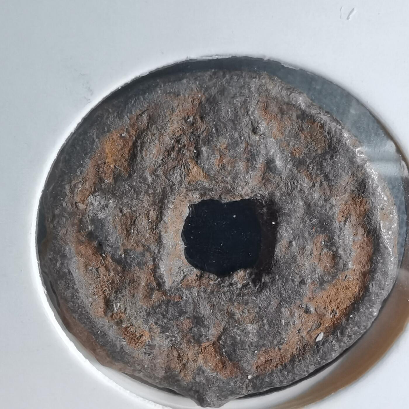 沼泽如烟--第941场