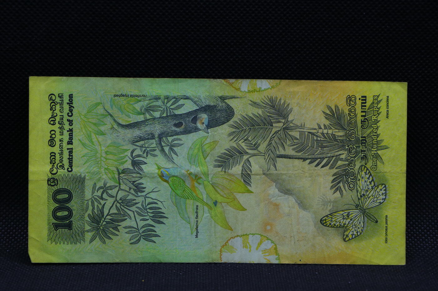 【淘币小摊】限时拍第八百三十四拍  纸币场  满百包邮可预留两周  周一统一发货   锡兰1979年100卢比纸币【有折】