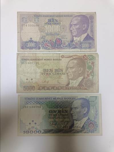 【20251223】非全新纸币和硬币第316场 - 土耳其3张纸币，有微裂