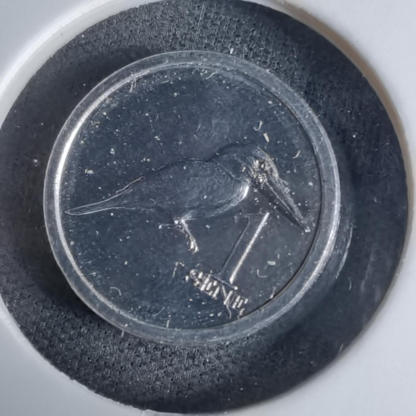 沼泽如烟--第941场 萨摩亚2020年一分小鸟