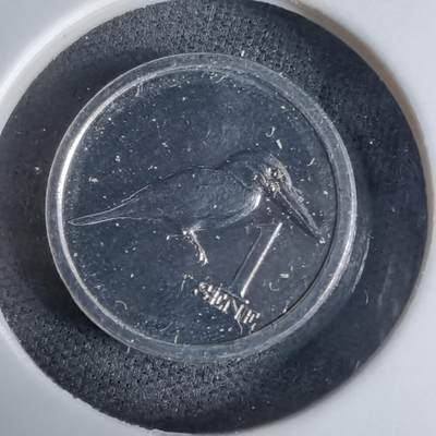 沼泽如烟--第941场 - 萨摩亚2020年一分小鸟