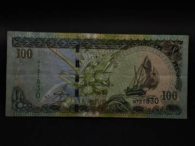 【淘币小摊】限时拍第八百三十四拍  纸币场  满百包邮可预留两周  周一统一发货  - 马尔代夫2013年100拉菲亚纸币【有折】