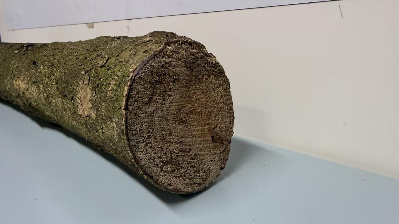 零元拍： 251218-1 金丝楠 原木 风水柱 横财（材）带皮， 尺寸：50/9.5/9.5CM。抛光后金灿灿满香。最后一图为成品效果。