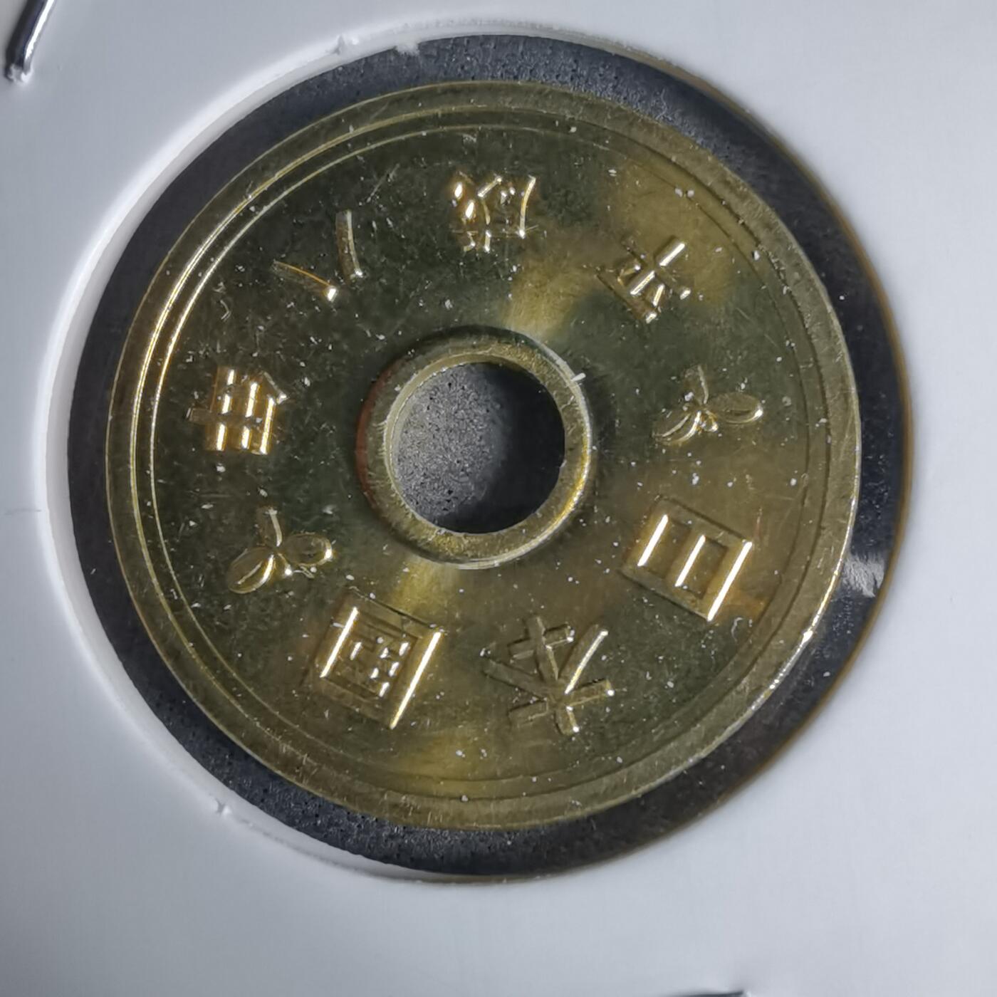 沼泽如烟--第941场