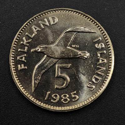 【淘币小摊】实时拍第八百三十三拍   散币场   满百包邮可预留二周 每周一统一发货   - 福克兰群岛1985年海鸥5便士镍币