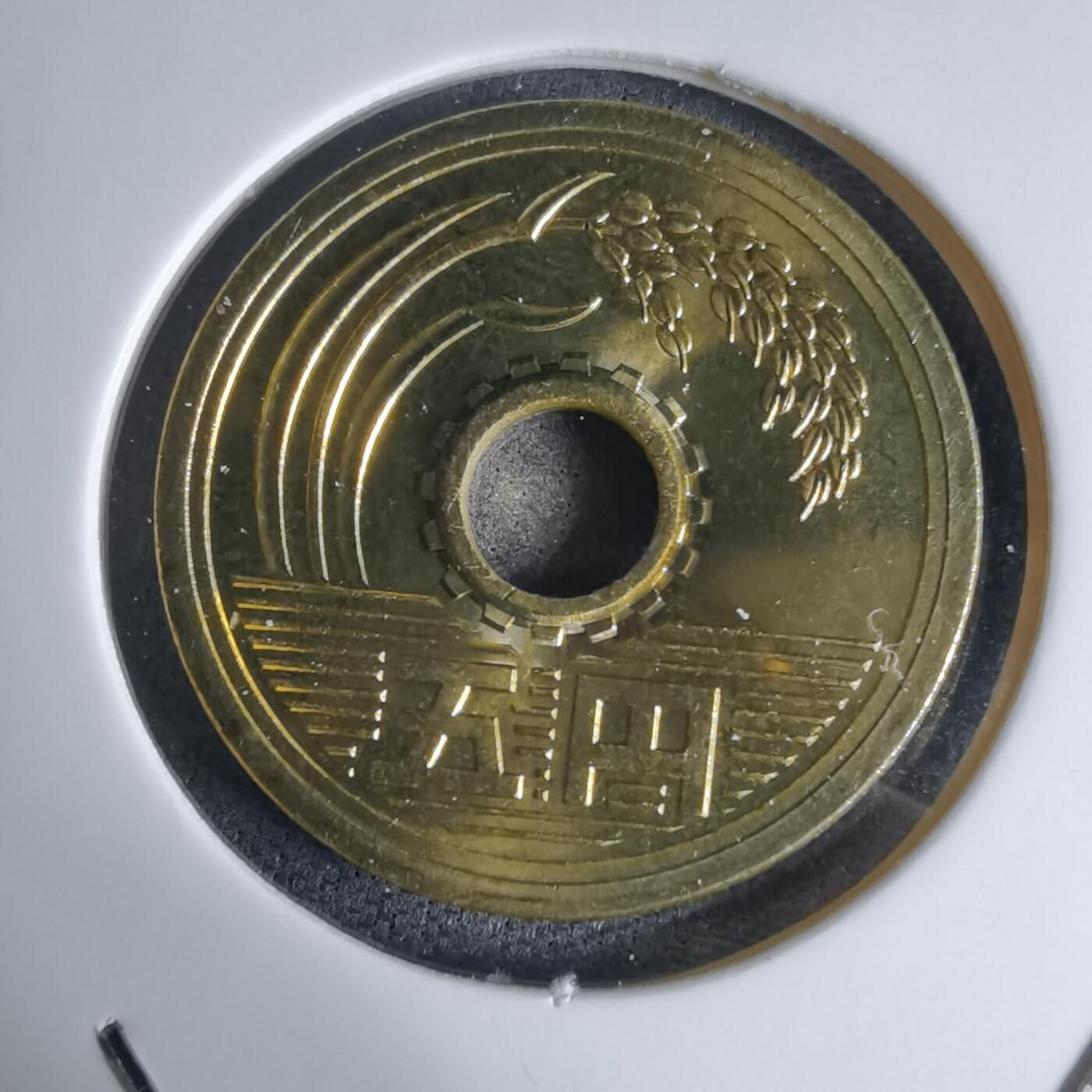 沼泽如烟--第941场