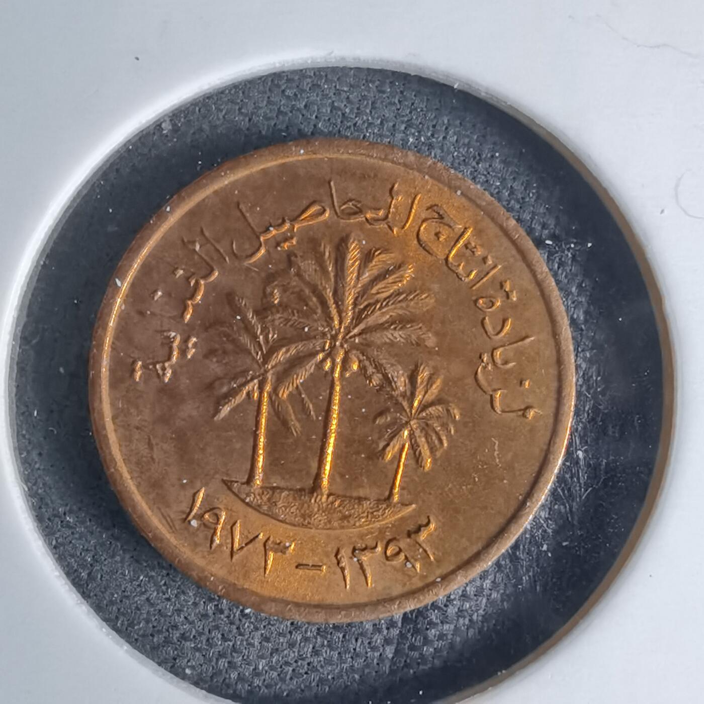 沼泽如烟--第941场 阿联酋