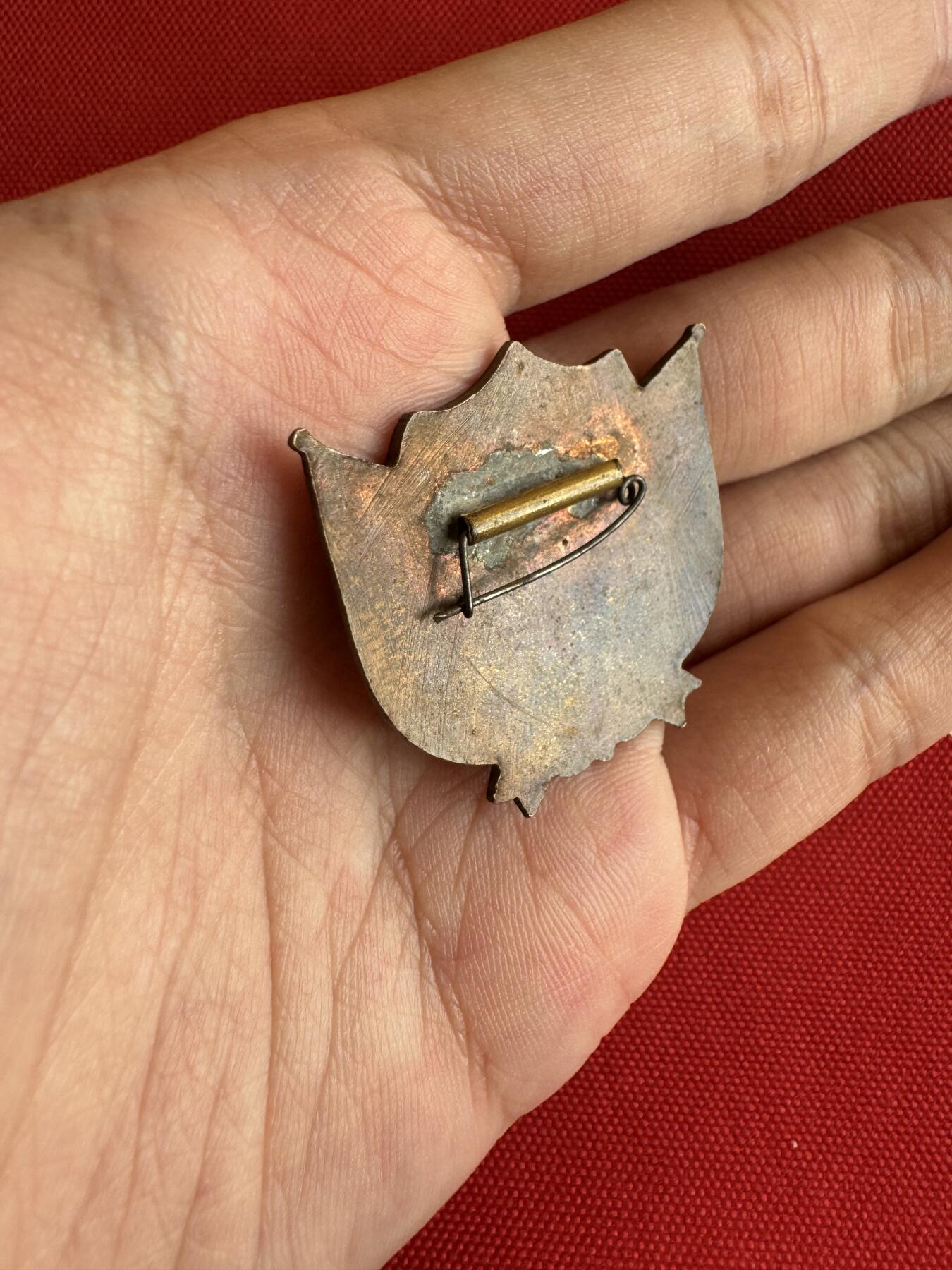 五哥徽章群   20号周六晚上八点4群联拍 铜章