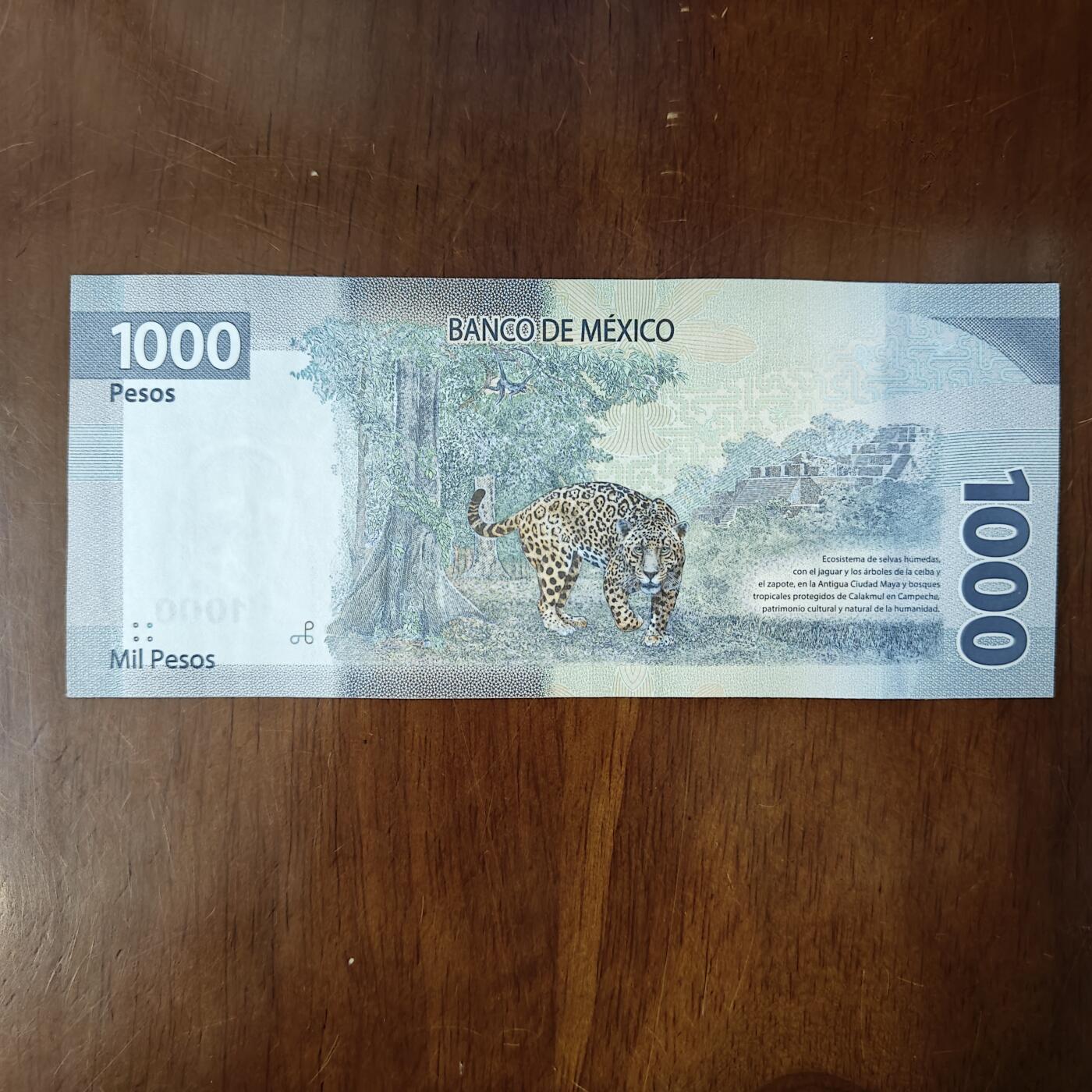 美洲墨西哥1000比索 纸币 2022年 好品原票原图片