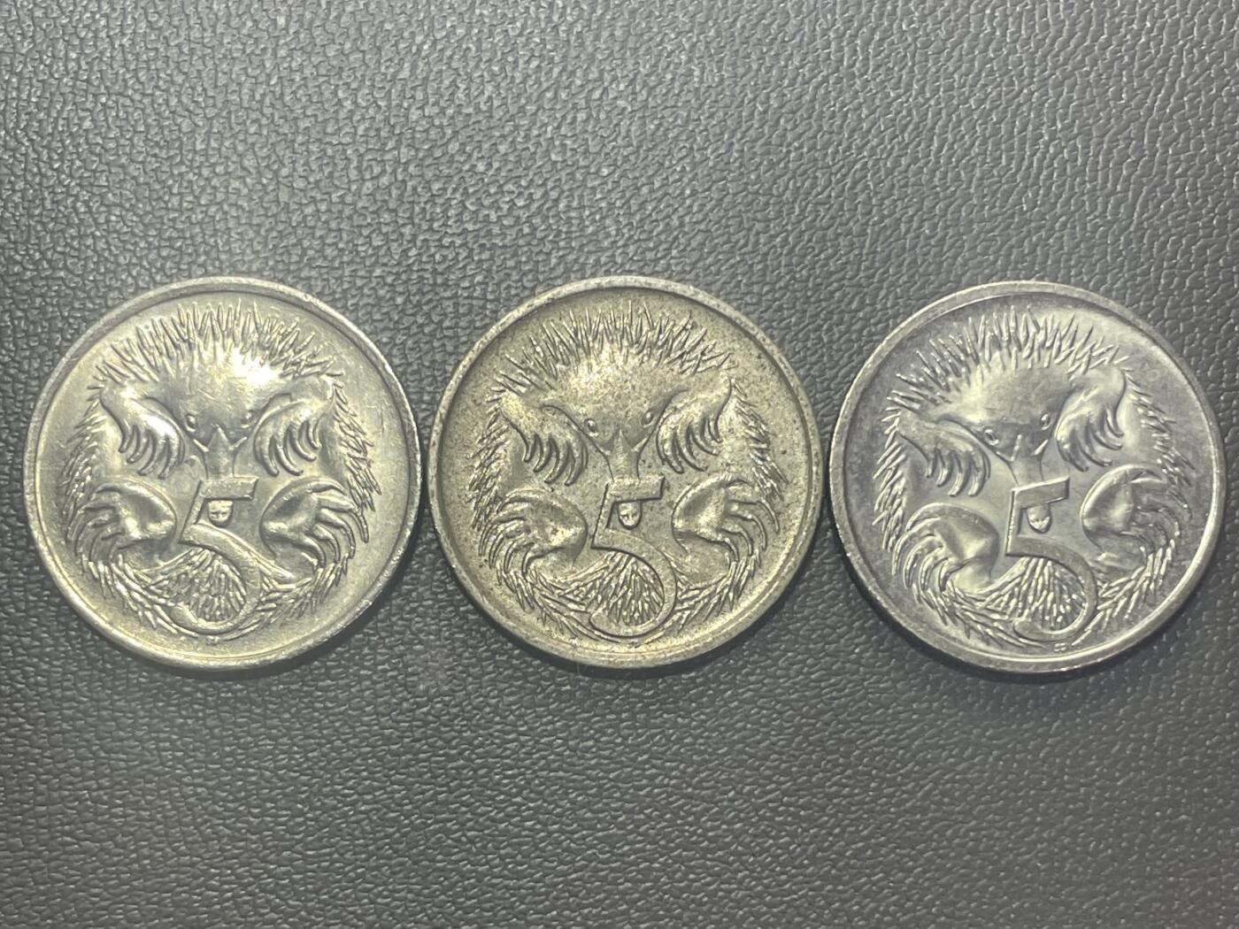 回流1222 澳大利亚5分针鼹3枚 女王不同时期像