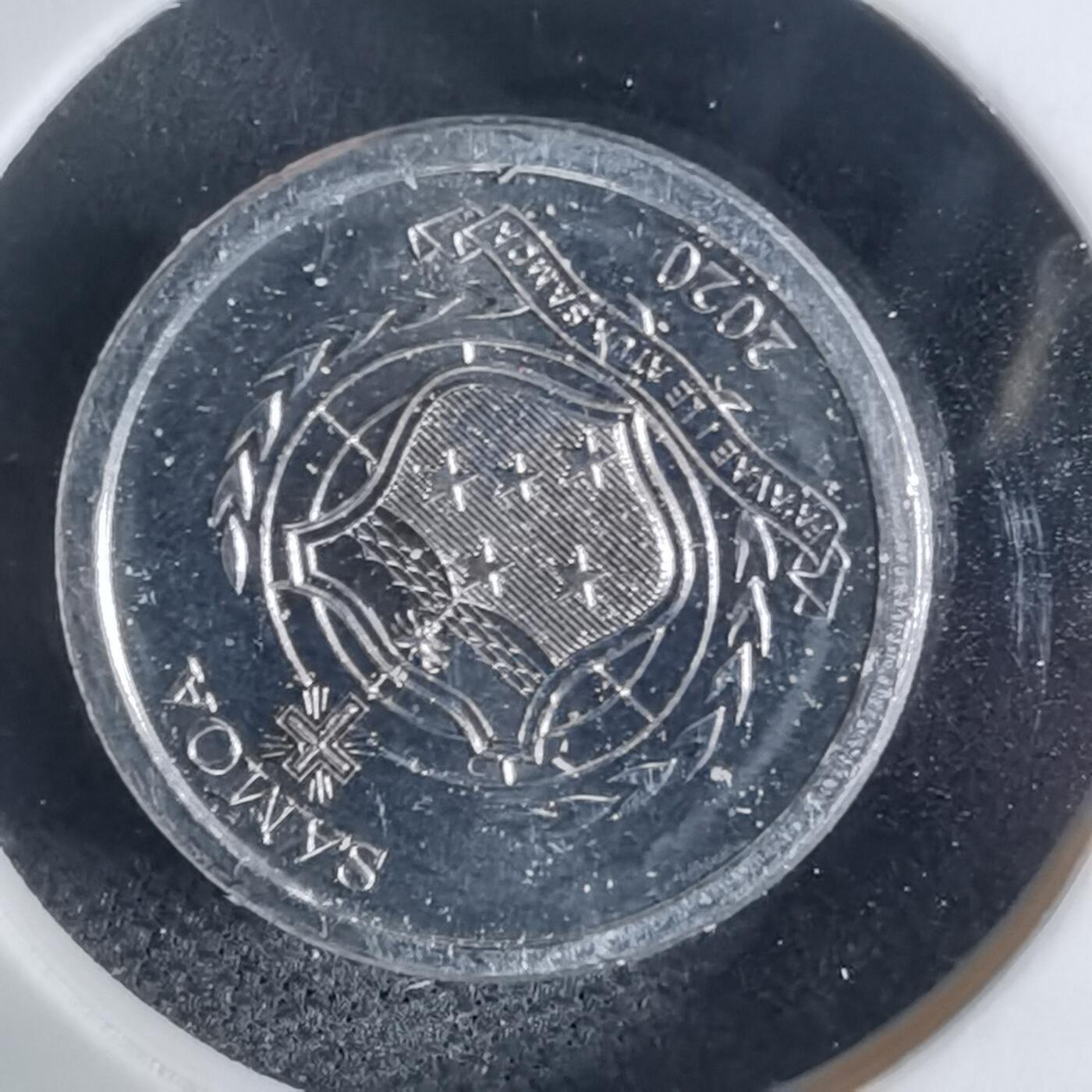 沼泽如烟--第941场 萨摩亚2020年一分小鸟