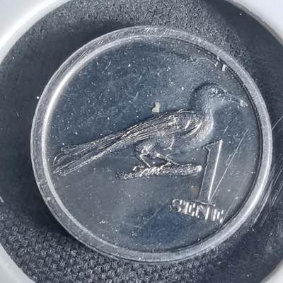 沼泽如烟--第941场 - 萨摩亚2020年一分小鸟