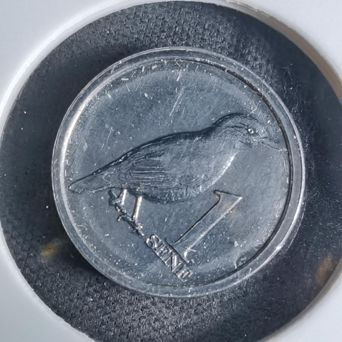 沼泽如烟--第941场 萨摩亚2020年一分小鸟