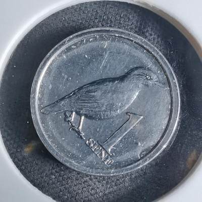 沼泽如烟--第941场 - 萨摩亚2020年一分小鸟