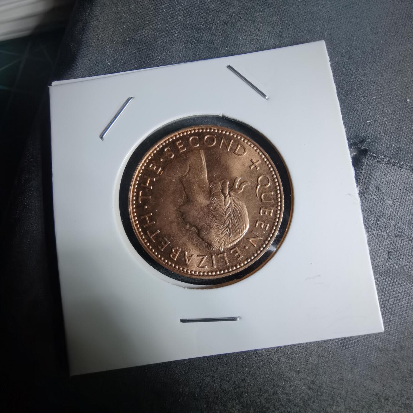 沼泽如烟--第941场