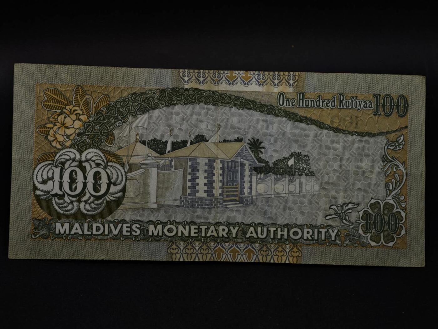 【淘币小摊】限时拍第八百三十四拍  纸币场  满百包邮可预留两周  周一统一发货  马尔代夫2013年100拉菲亚纸币【有折】