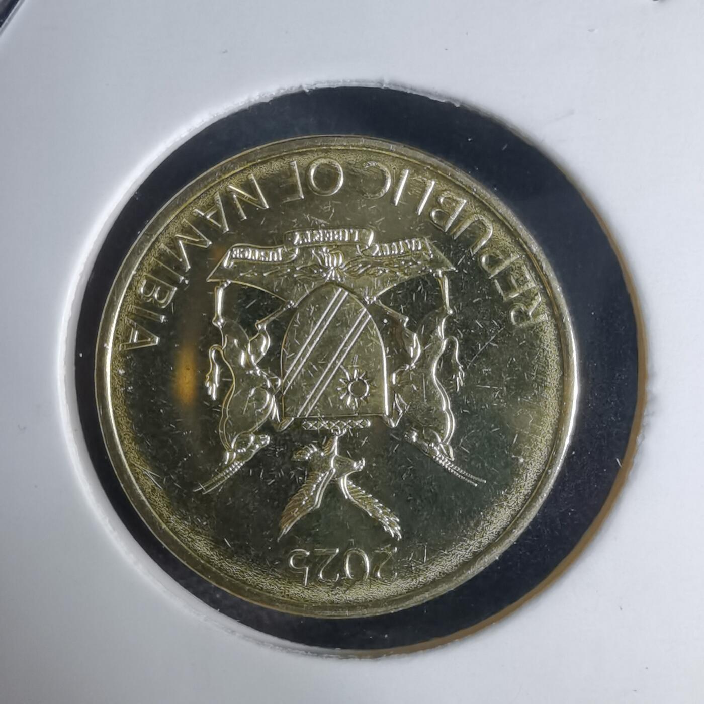 沼泽如烟--第941场