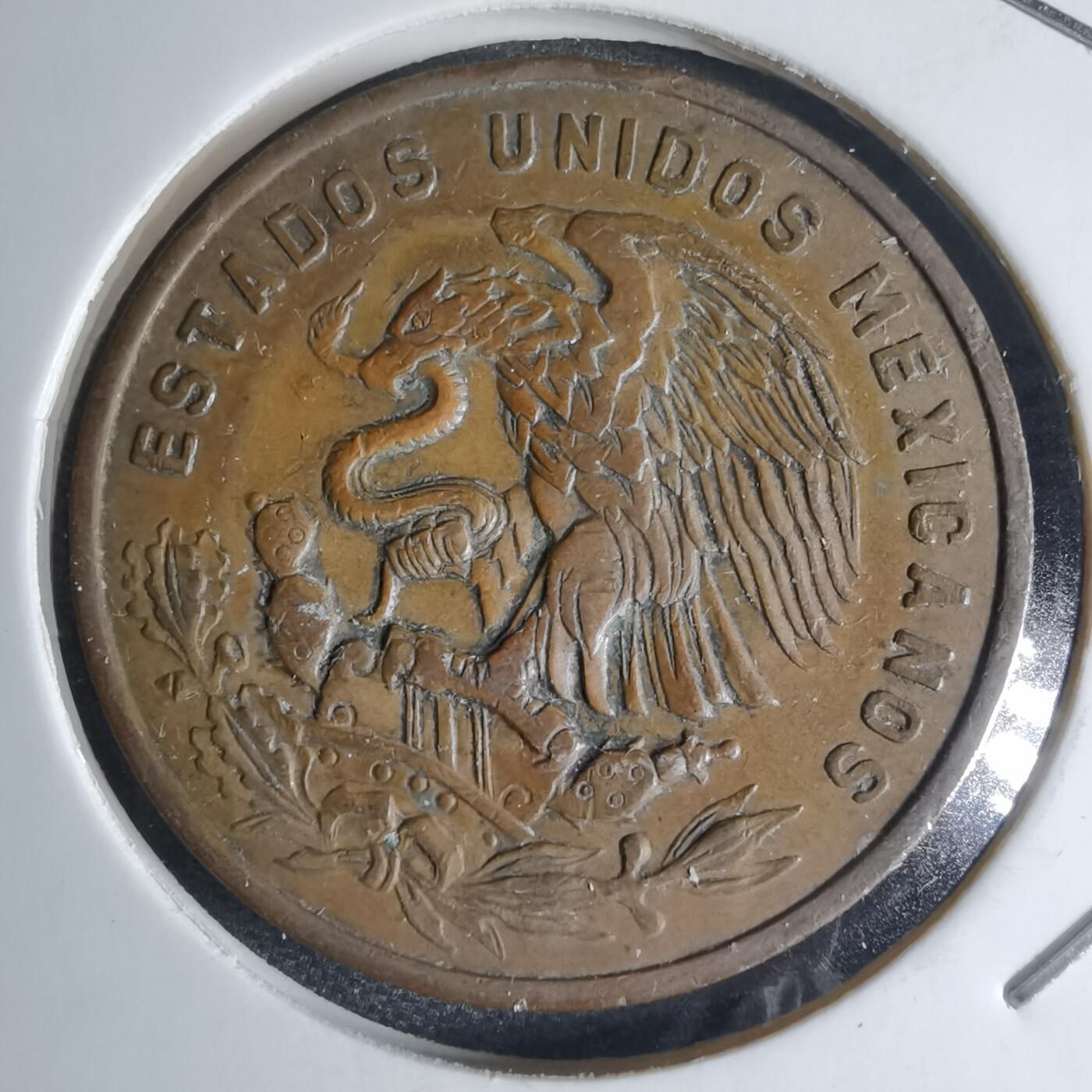 沼泽如烟--第941场 墨西哥1965年20分