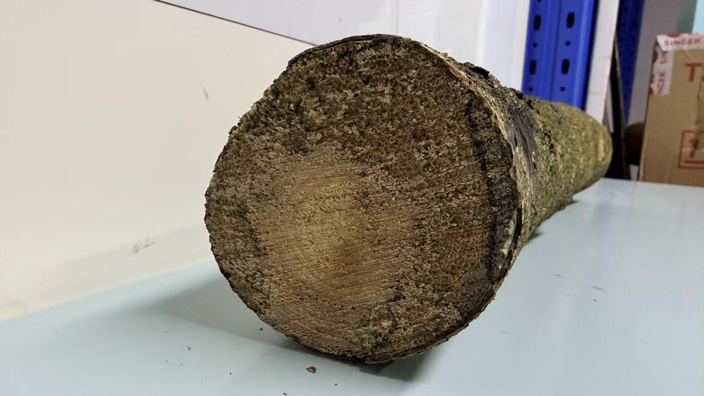 零元拍： 251218-1 金丝楠 原木 风水柱 横财（材）带皮， 尺寸：50/9.5/9.5CM。抛光后金灿灿满香。最后一图为成品效果。