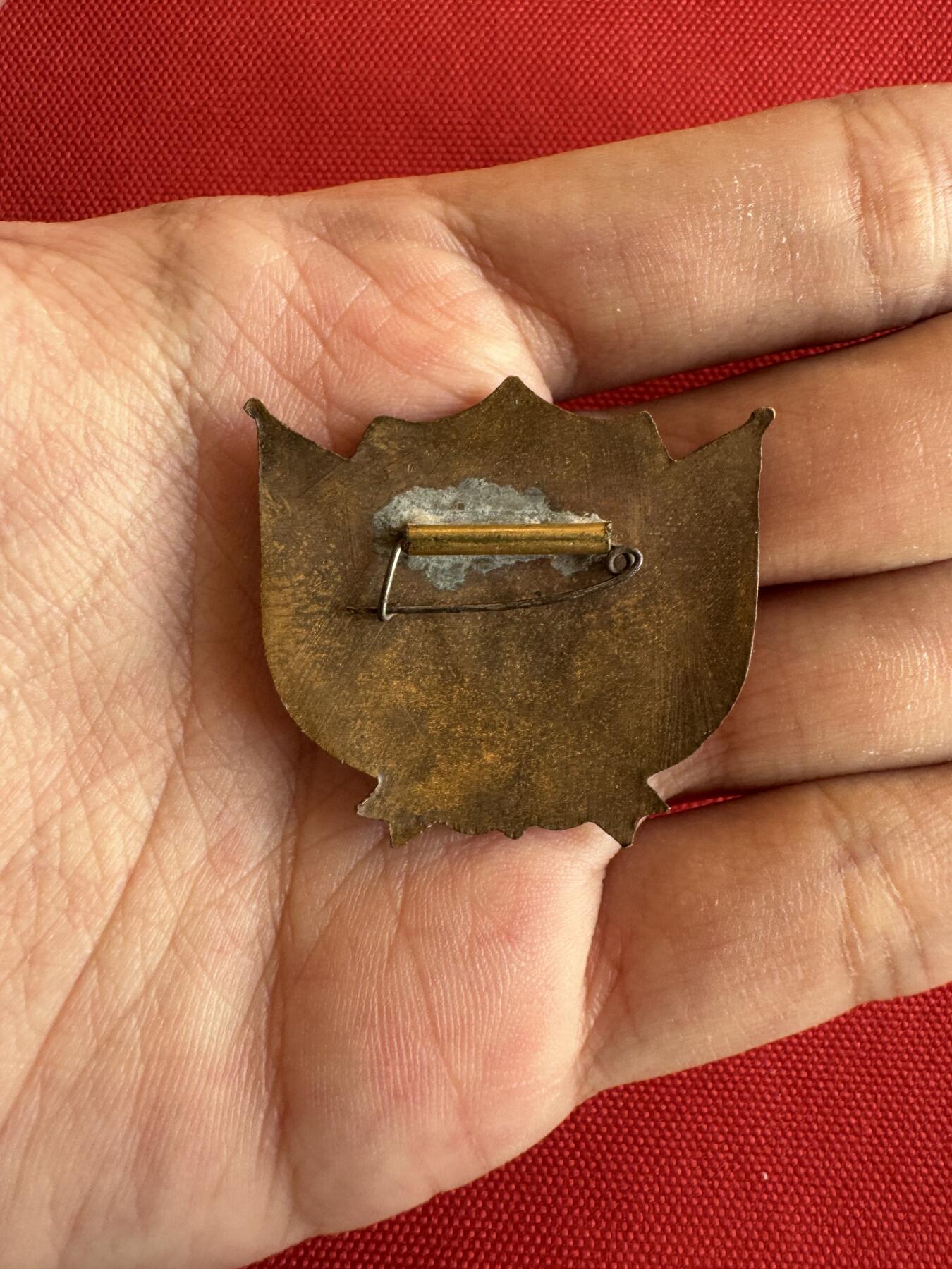 五哥徽章群   20号周六晚上八点4群联拍 铜章