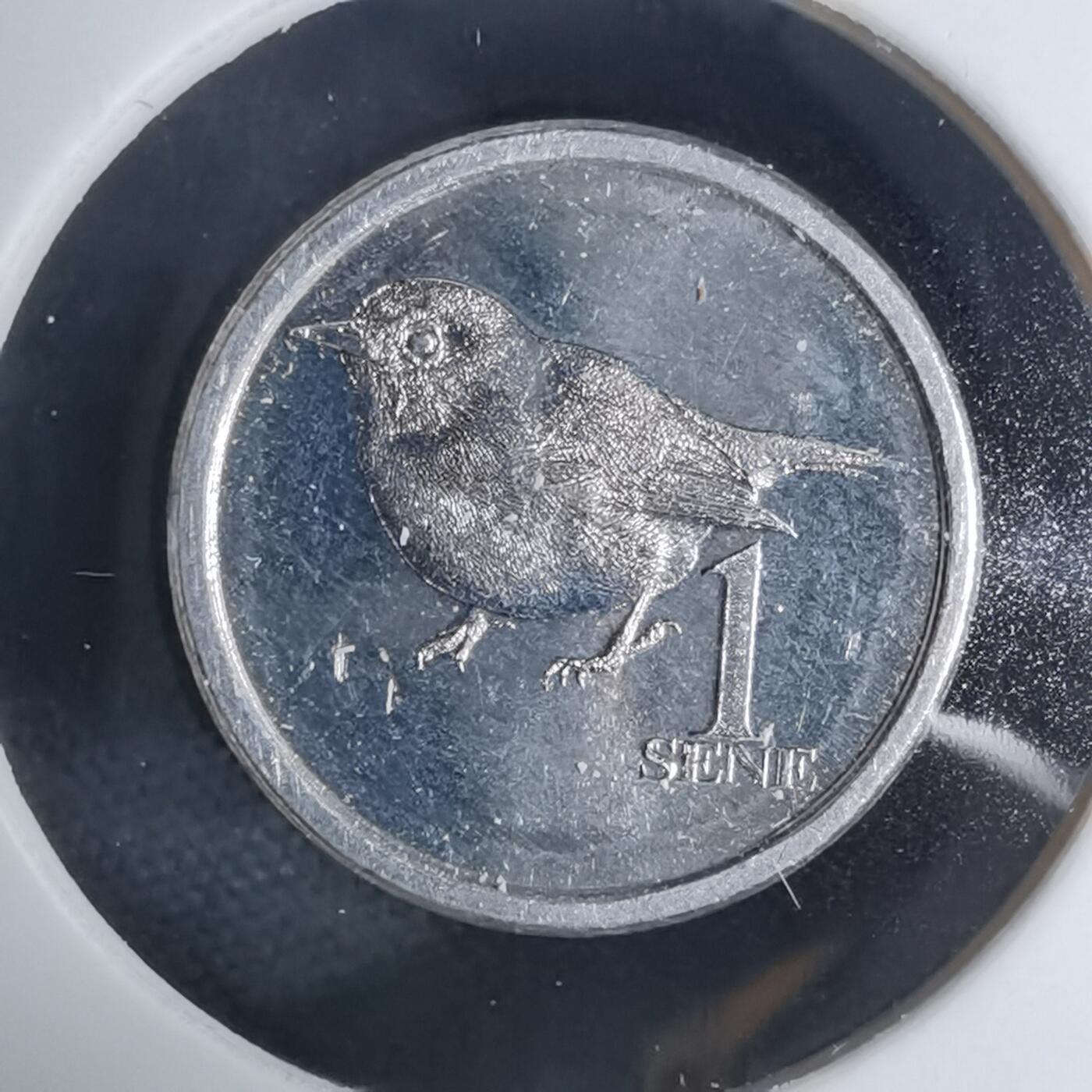 沼泽如烟--第941场 萨摩亚2020年一分小鸟