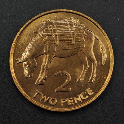 【淘币小摊】实时拍第八百三十三拍   散币场   满百包邮可预留二周 每周一统一发货   - 圣赫勒拿1984年毛驴2便士铜币