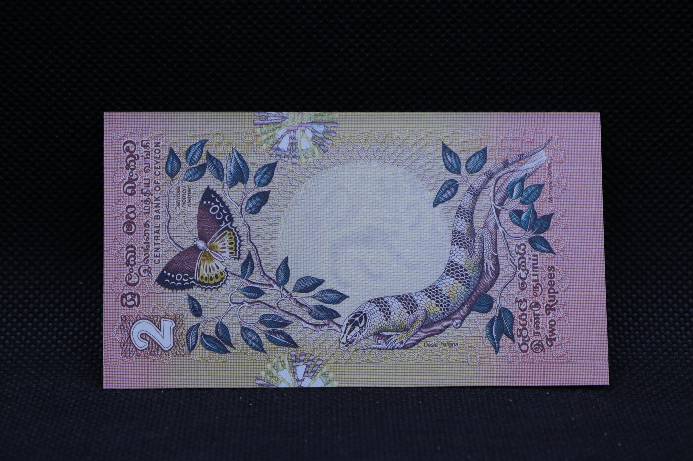 【淘币小摊】限时拍第八百三十四拍  纸币场  满百包邮可预留两周  周一统一发货   锡兰1979年2卢比纸币