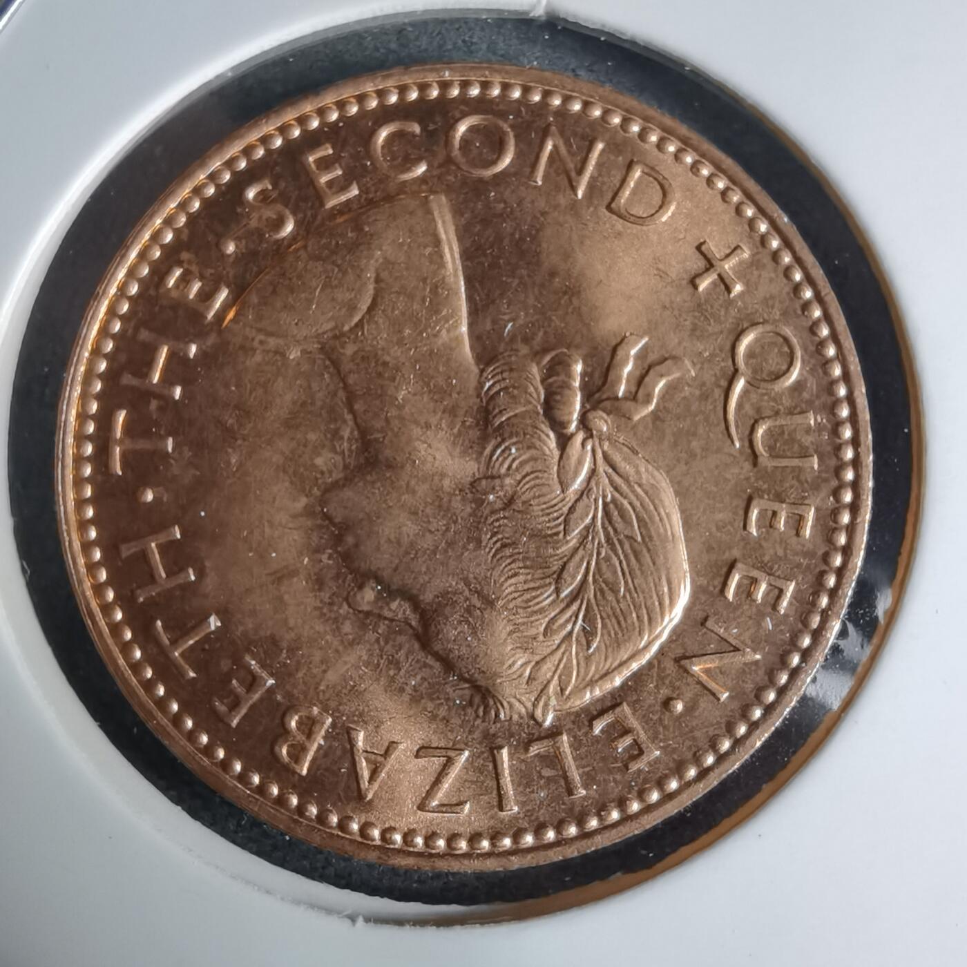 沼泽如烟--第941场