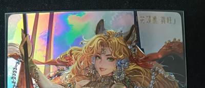 花开卡拍第53期（12月28号周日截拍，品控勿拍!!!拍品不寄存，运费5元，自制卡难免瑕疵，可能存在轻微撞角爆边等出厂瑕疵，品控介意勿拍！） - 卡玩帕克 异界水浒神姬  光雕卡 花项虎龚旺一张，有细微划痕
