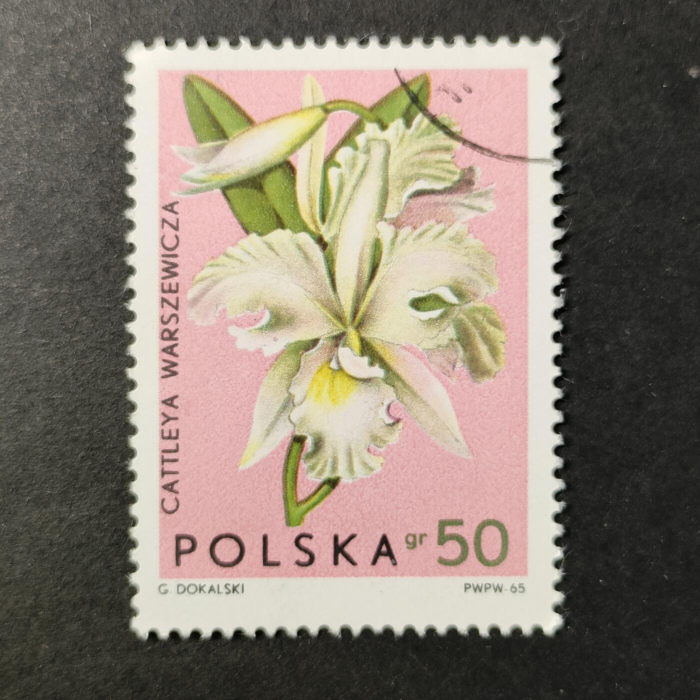 嘉禾收藏    【第412期】            无佣金、可寄存、满30元包邮 邮票一枚