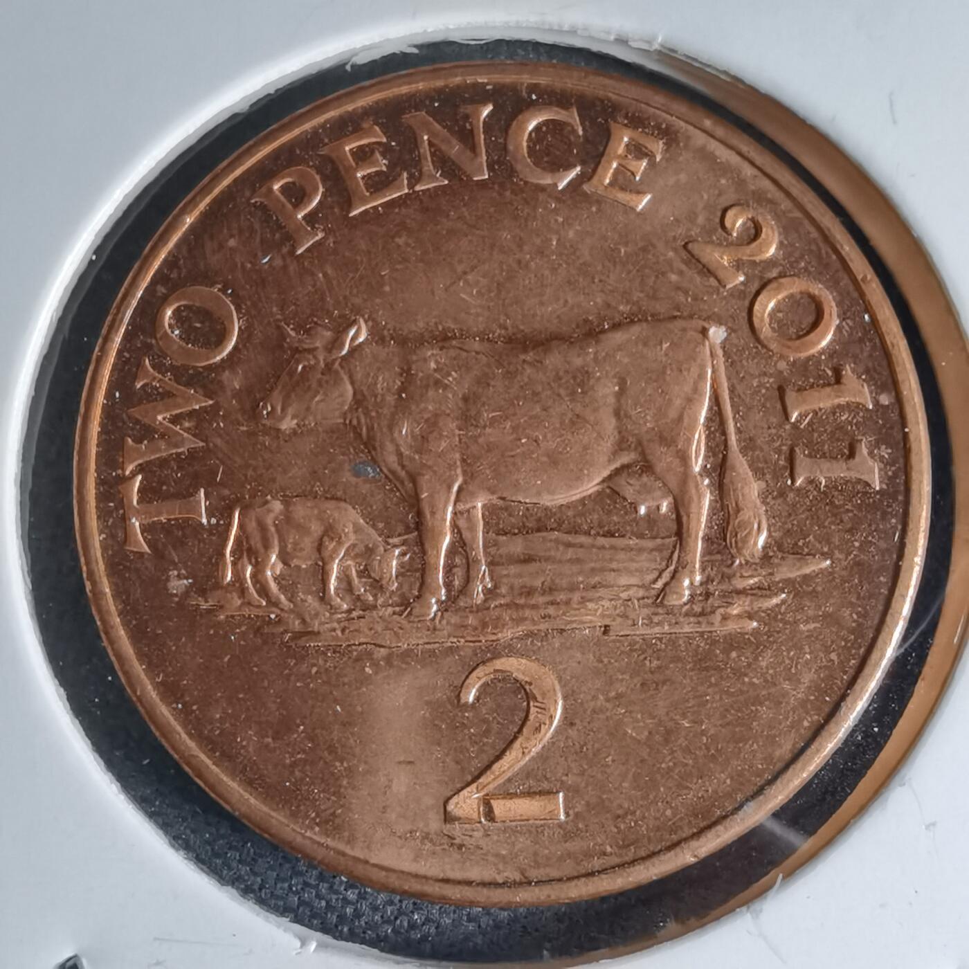 沼泽如烟--第941场 根西2011年2便士